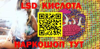 дурь Гай