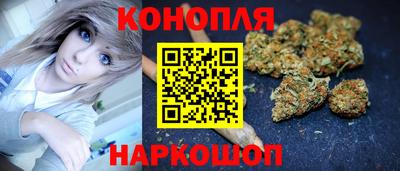 дурь Гай