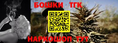 spice Гатчина