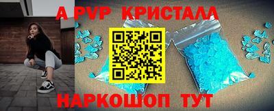 spice Гатчина
