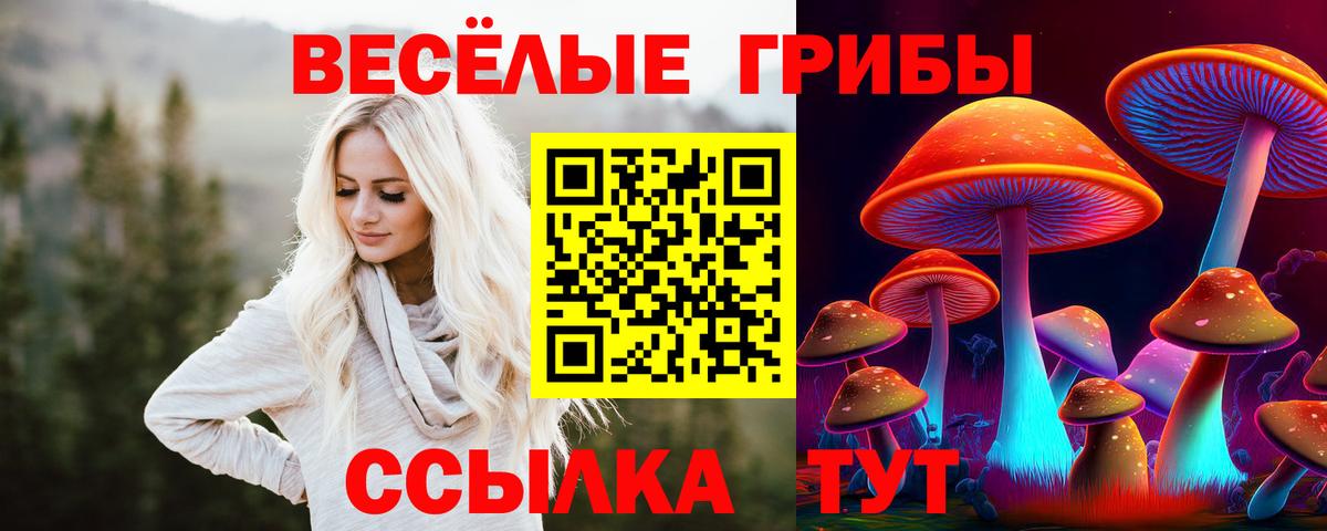 Галлюциногенные грибы Magic Shrooms  Псилоцибиновые грибы прущие грибы  Ессентуки  Вход с VPN 