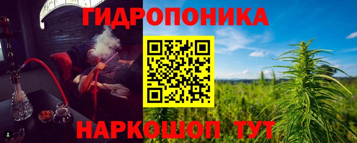 Бошки марихуана марихуана Ессентуки